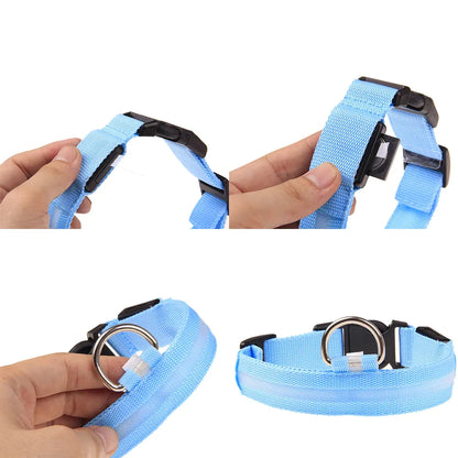 LED Adjustable Dog Collar Blinking, Light up, Glow, Waterproof