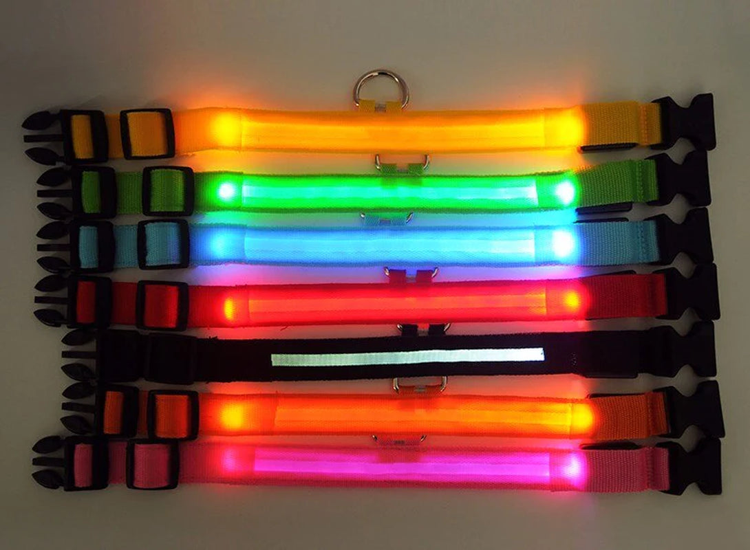 LED Adjustable Dog Collar Blinking, Light up, Glow, Waterproof