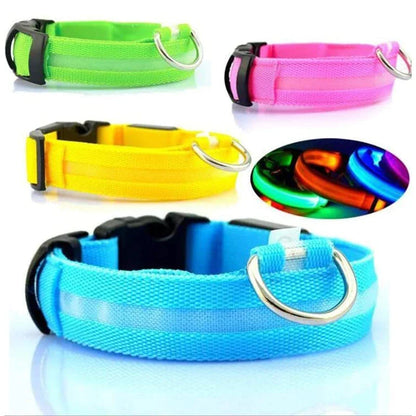 LED Adjustable Dog Collar Blinking, Light up, Glow, Waterproof