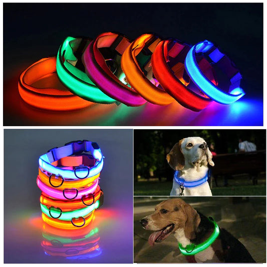 LED Adjustable Dog Collar Blinking, Light up, Glow, Waterproof
