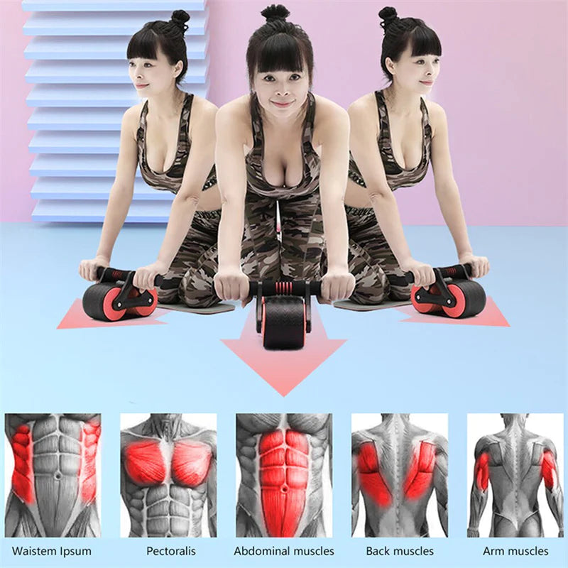 Double Wheel Abdominal Exerciser, Automatic Rebound, Ab Wheel Roller, Waist Trainer 