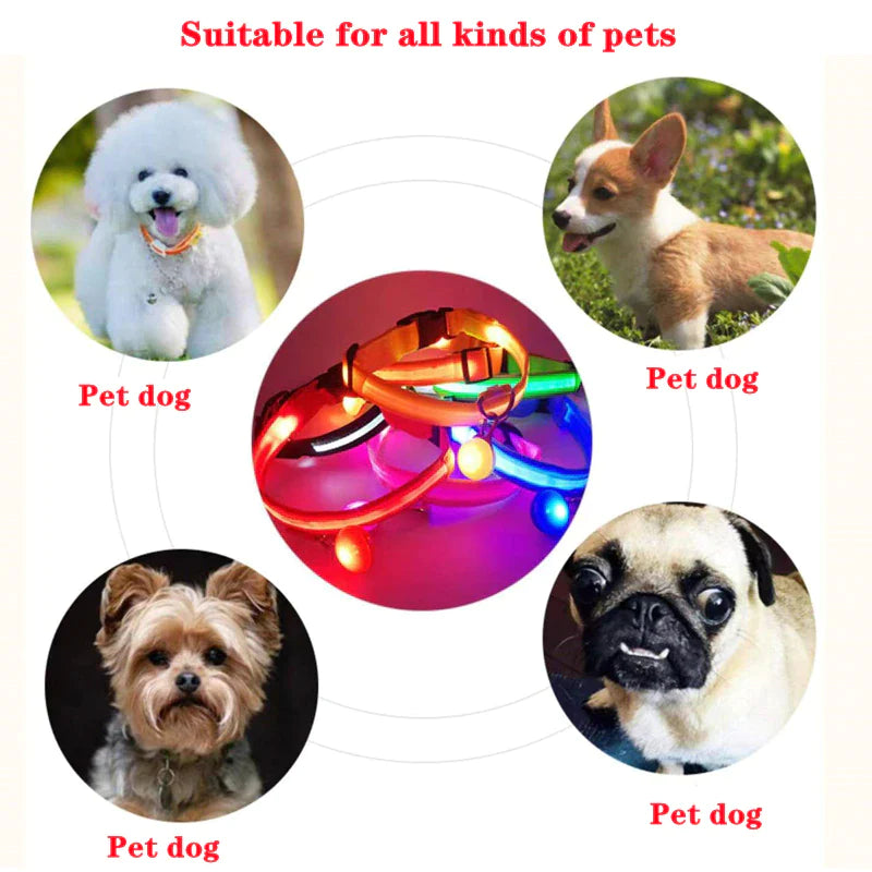 LED Adjustable Dog Collar Blinking, Light up, Glow, Waterproof