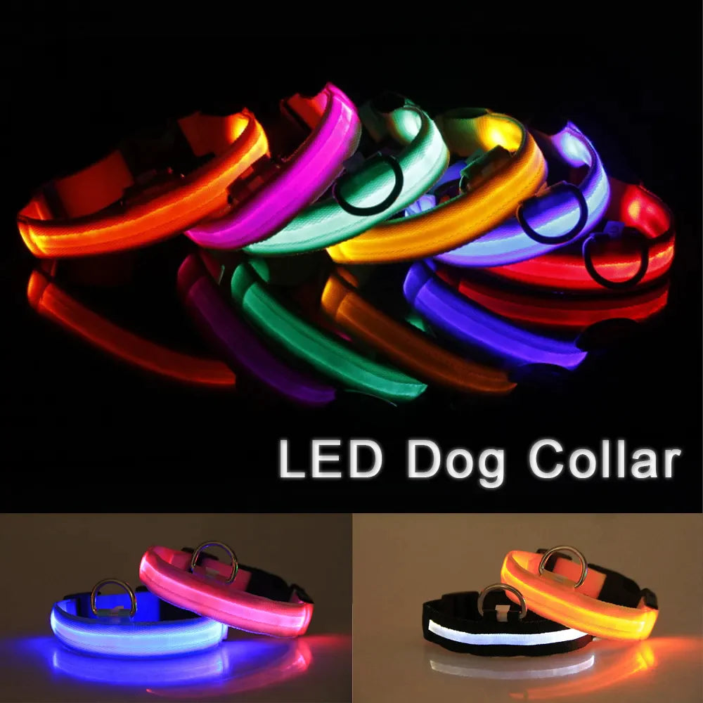 LED Adjustable Dog Collar Blinking, Light up, Glow, Waterproof