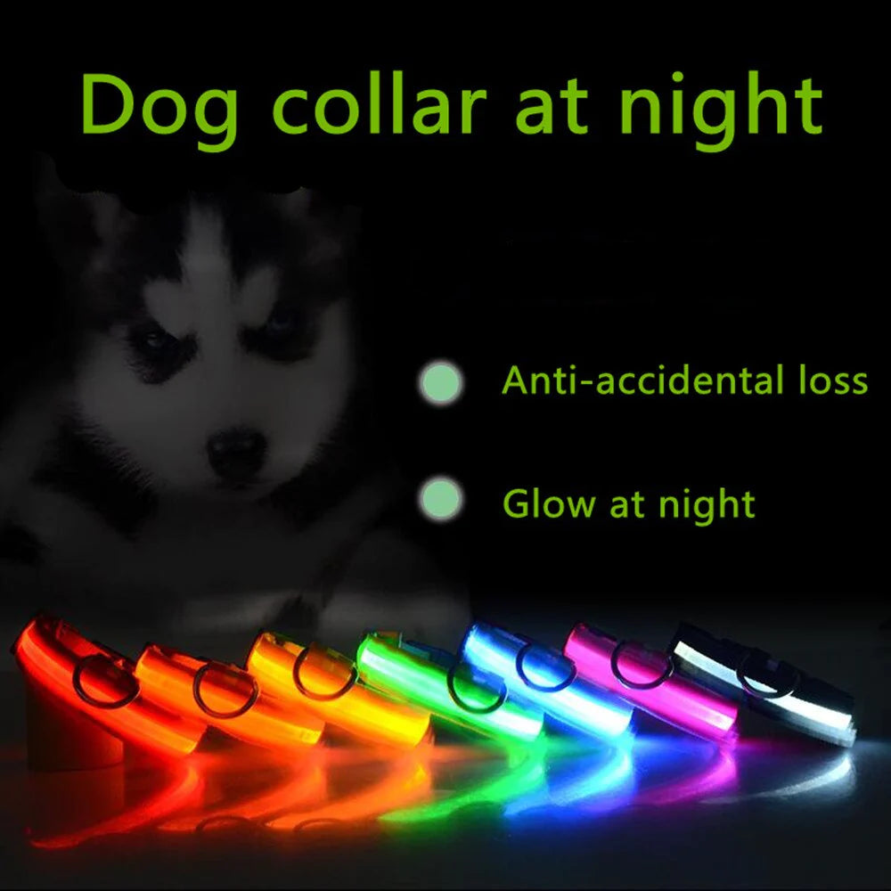 LED Adjustable Dog Collar Blinking, Light up, Glow, Waterproof