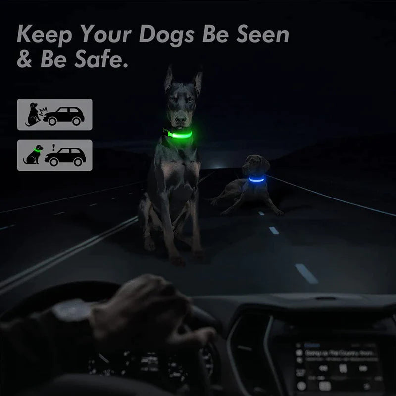 LED Adjustable Dog Collar Blinking, Light up, Glow, Waterproof