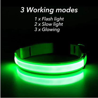 LED Adjustable Dog Collar Blinking, Light up, Glow, Waterproof