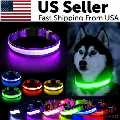 LED Adjustable Dog Collar Blinking, Light up, Glow, Waterproof