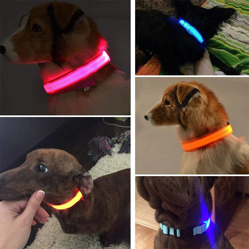 LED Adjustable Dog Collar Blinking, Light up, Glow, Waterproof