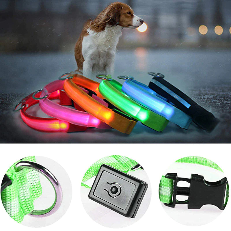 LED Adjustable Dog Collar Blinking, Light up, Glow, Waterproof