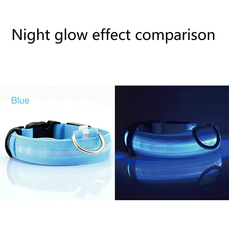 LED Adjustable Dog Collar Blinking, Light up, Glow, Waterproof