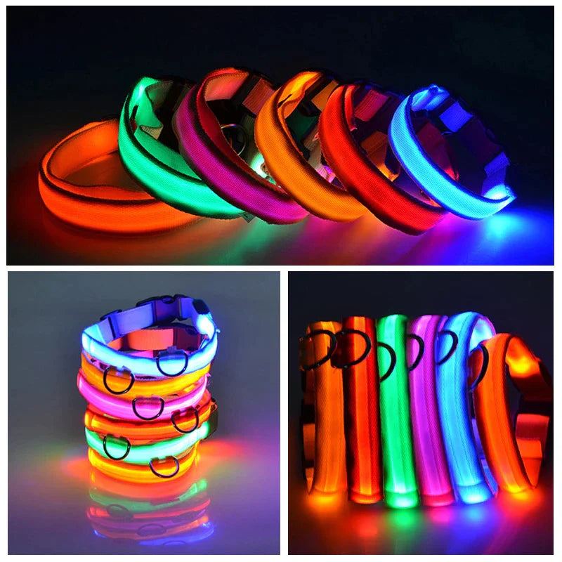 LED Adjustable Dog Collar Blinking, Light up, Glow, Waterproof