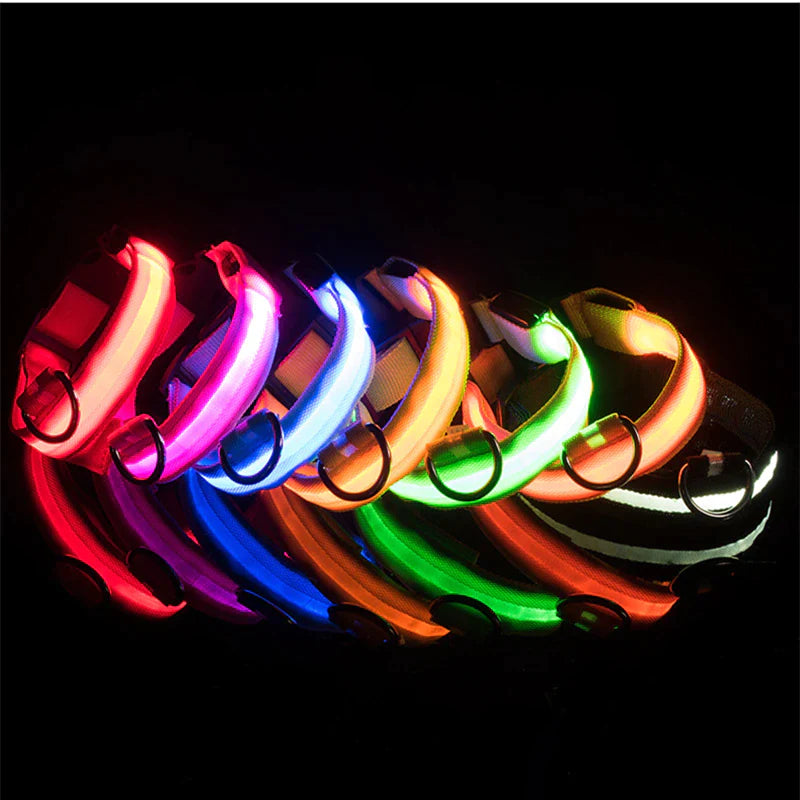 LED Adjustable Dog Collar Blinking, Light up, Glow, Waterproof