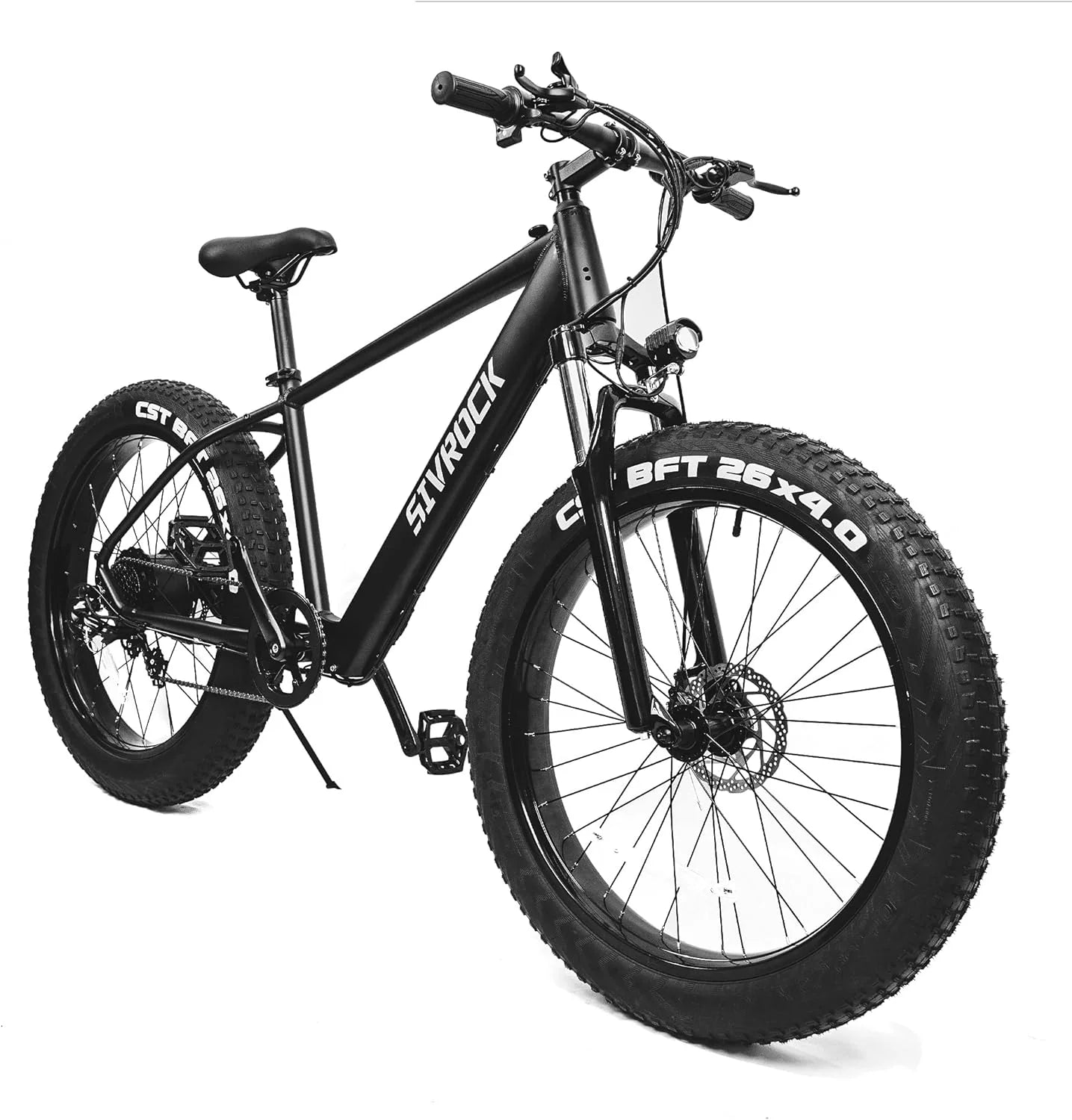 Professional 26 X 4.0 Inch Fat Tire Electric Bike 