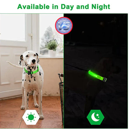 LED Adjustable Dog Collar Blinking, Light up, Glow, Waterproof