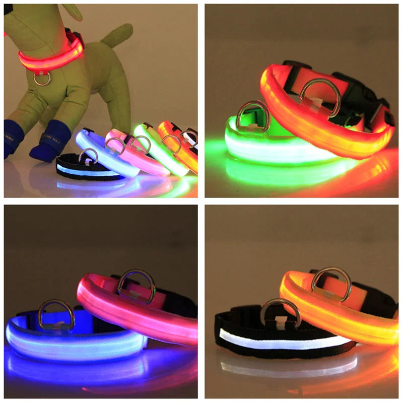 LED Adjustable Dog Collar Blinking, Light up, Glow, Waterproof