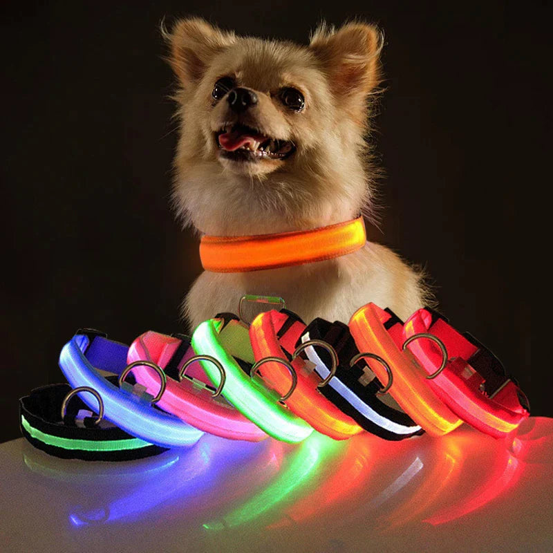 LED Adjustable Dog Collar Blinking, Light up, Glow, Waterproof