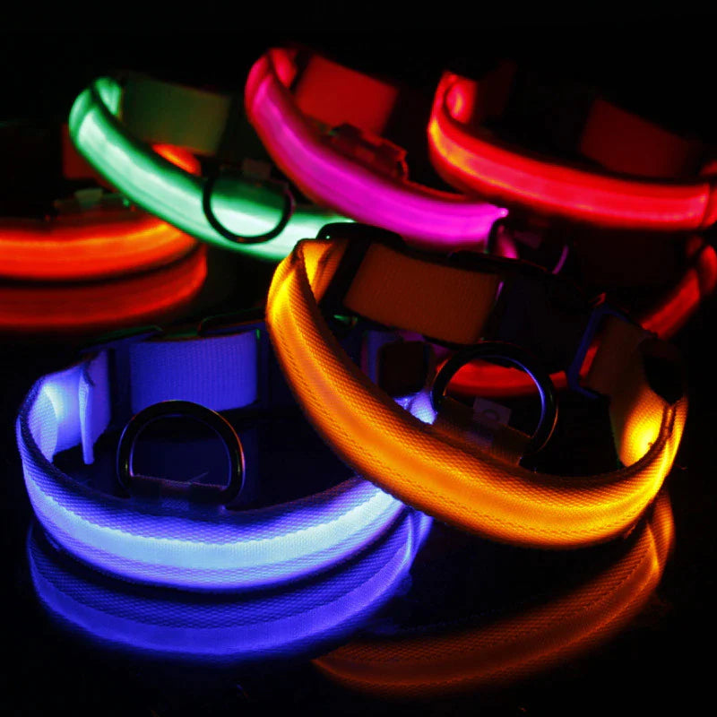 LED Adjustable Dog Collar Blinking, Light up, Glow, Waterproof